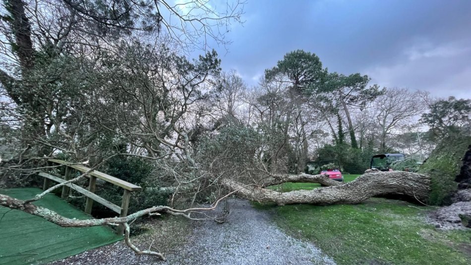 Vendredi 13 février : Ouverture du parcours à 12h