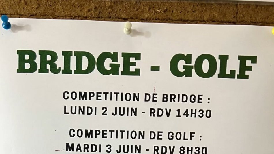 Bridge - Golf